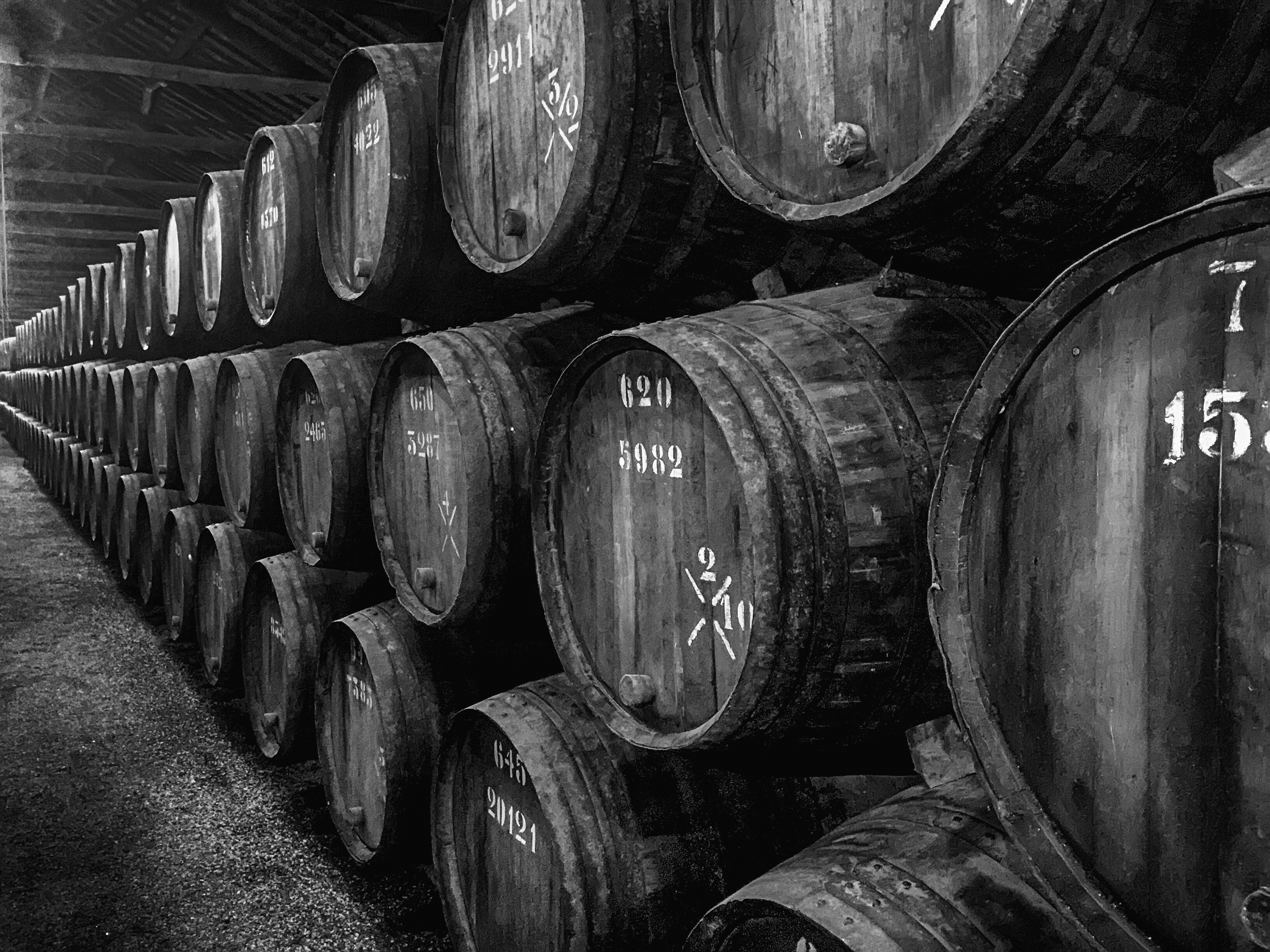 FINE WINE INVESTING